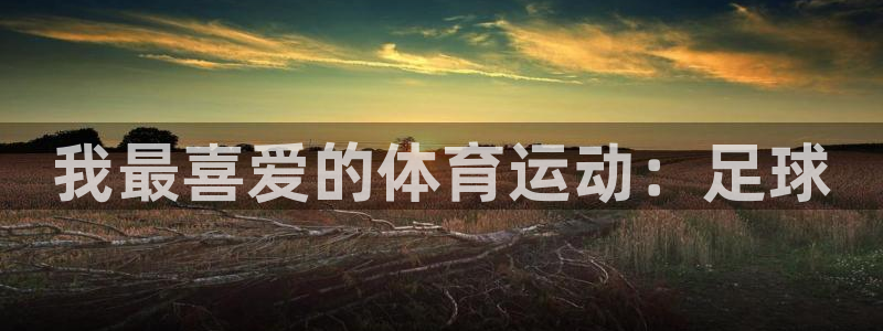 JJB竞技宝官方正版app集团官网首页：我最喜爱的体育运动：