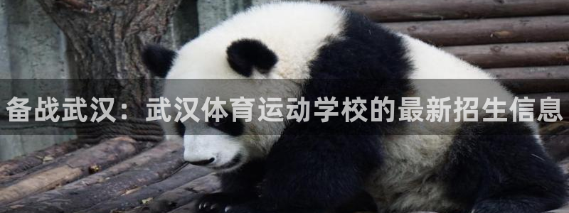 海南JJB竞技宝官网下载发展怎么样