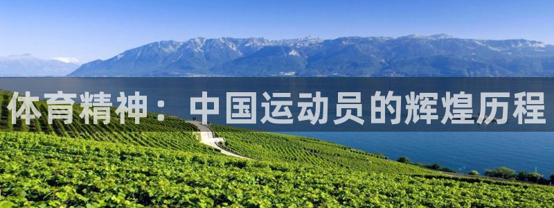 JJB竞技宝官方正版app集团logo