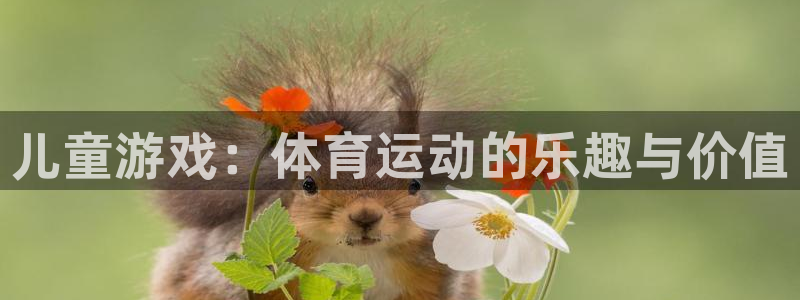 JJB竞技宝官网下载
