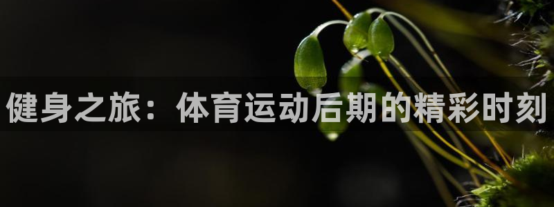 JJB竞技宝官网下载平台是正规平台吗安全吗：健身之旅：体育运