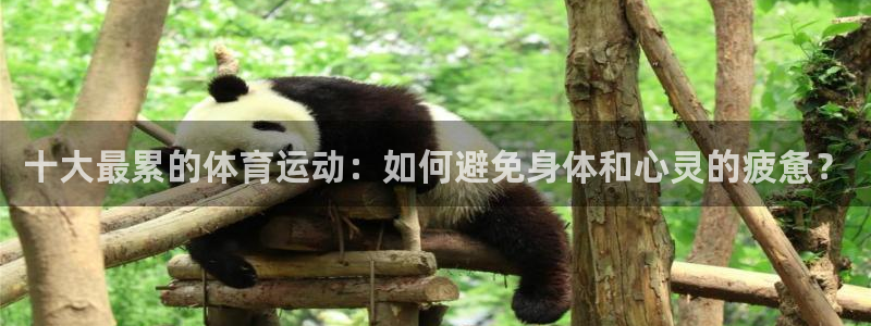 JJB竞技宝官网下载招商电话地址查询：十大最累的体育运动：如
