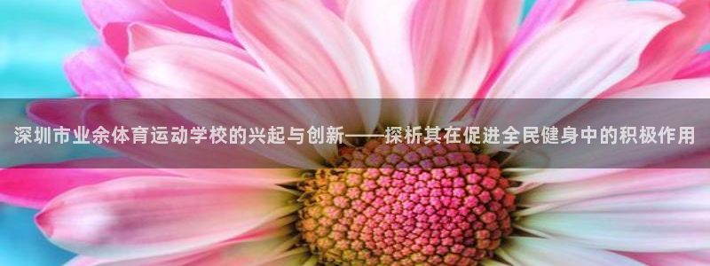 海南JJB竞技宝官网下载发展怎么样