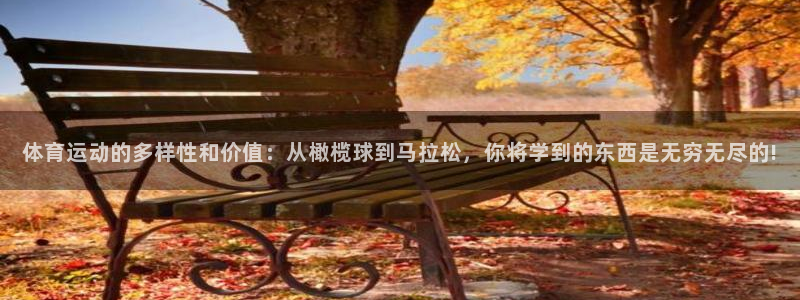 注册JJB竞技宝官方正版app：体育运动的多样性和价