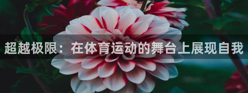 JJB竞技宝官网下载平台注册要钱吗是真的吗：超越极限：在体育