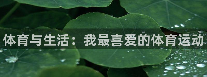 JJB竞技宝官网下载招商电话：体育与生活：我最喜爱的