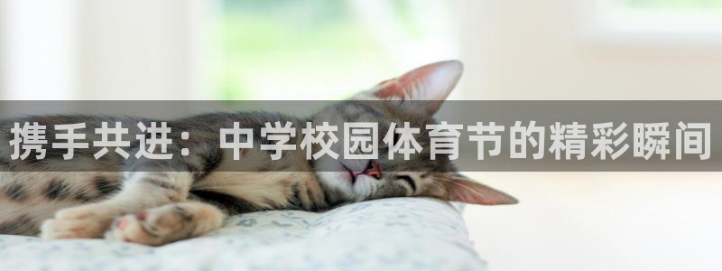 JJB竞技宝官方正版app集团官网首页网址：携手共进：中学校
