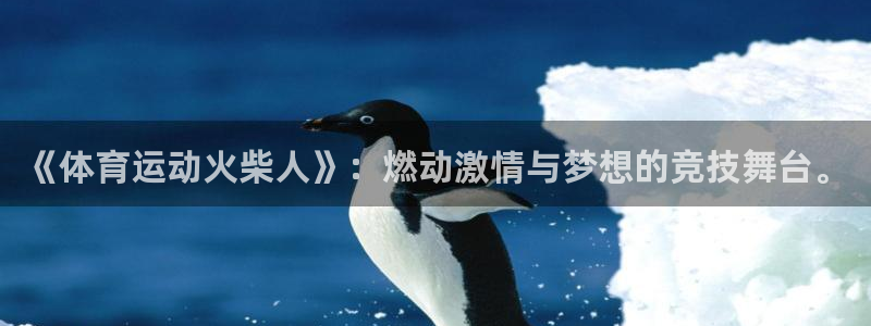 JJB竞技宝官方正版app娱乐网站：《体育运动火柴人》：燃动