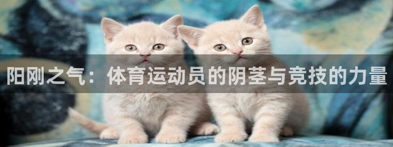 竞技宝app下载安装最新版