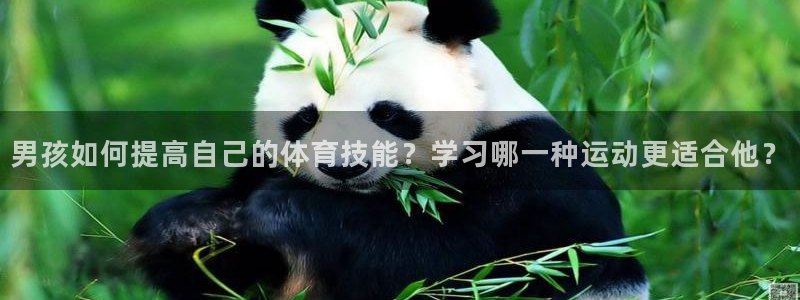竞技宝是什么