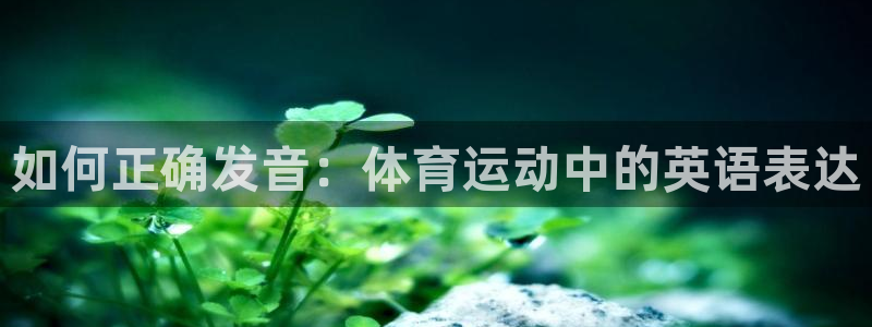 竞技宝app下载苹果手机：如何正确发