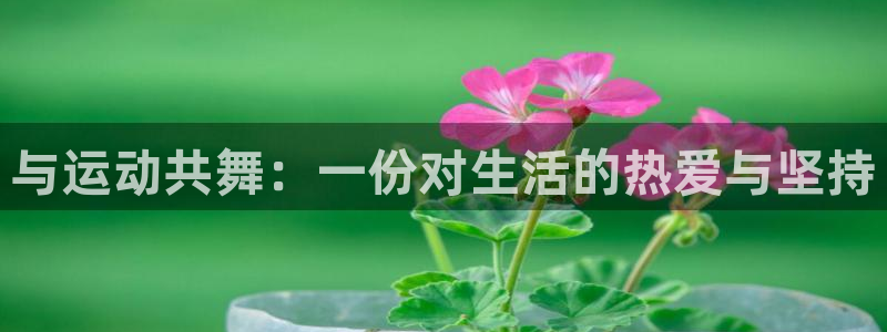 JJB竞技宝app网站：与运动共舞：