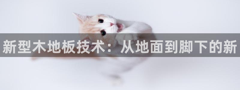 竞技宝官网是什么：新型木地板技术：从