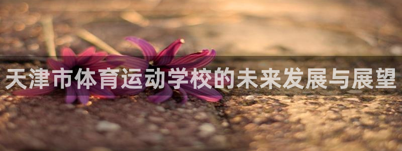 竞技宝怎么举报：天津市体育运动学校的