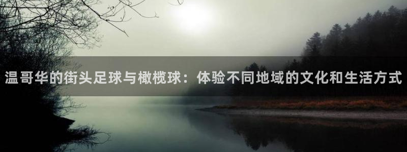  竞技宝官网下载：温哥华的街头足球与橄榄球：体验不同地域的文化