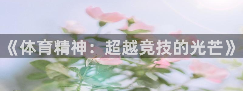 竞技宝下载app官网：《体育精神：超
