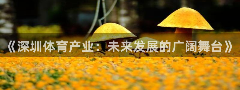  竞技宝跑路：《深圳体育产业：未来发展的广阔舞台》