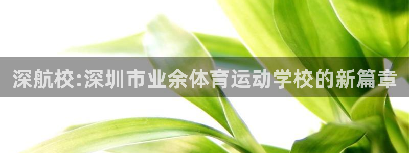 竞技宝能提现吗：深航校:深圳市业余体育运动学校的新篇章
