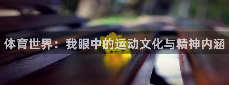  竞技宝下载地址在哪：体育世界：我眼中的运动文化与精神内涵