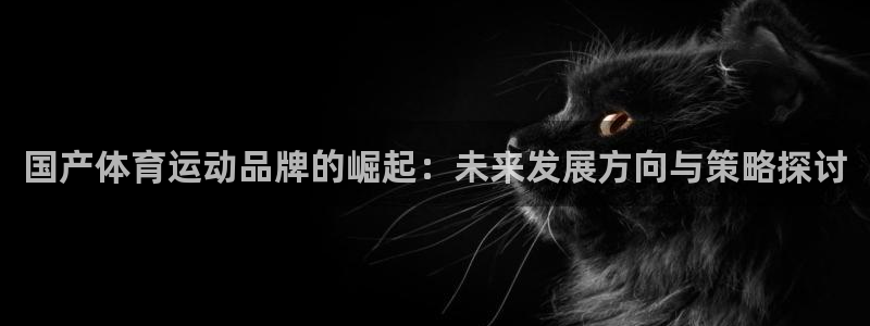  竞技宝 app官网下载安装：国产体育运动品牌的崛起：未来发展