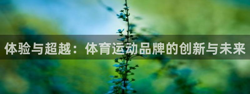 竞技宝贴吧：体验与超越：体育运动品牌