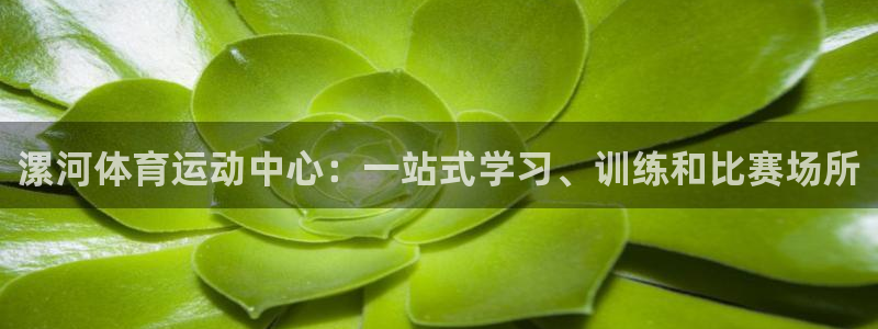 竞技宝官网官方在线登录：漯河体育运动中心：一站式学习、训练和