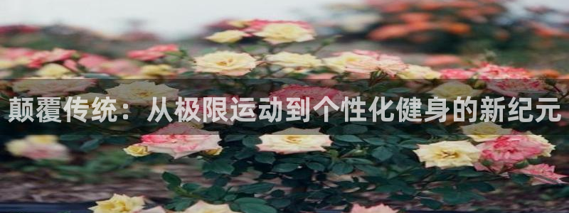 竞技宝客服app：颠覆传统：从极限运动到个性化健身的新纪元