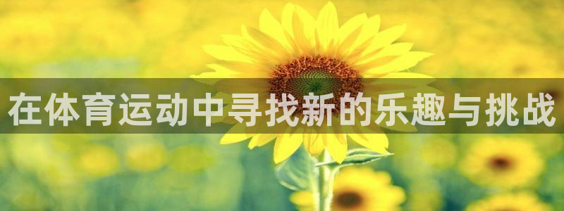 JJB竞技宝app：在体育运动中寻找新的乐趣与挑战