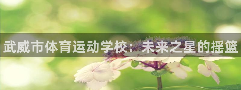 竞技宝是不是赌博的：武威市体育运动学校：未来之星的摇篮