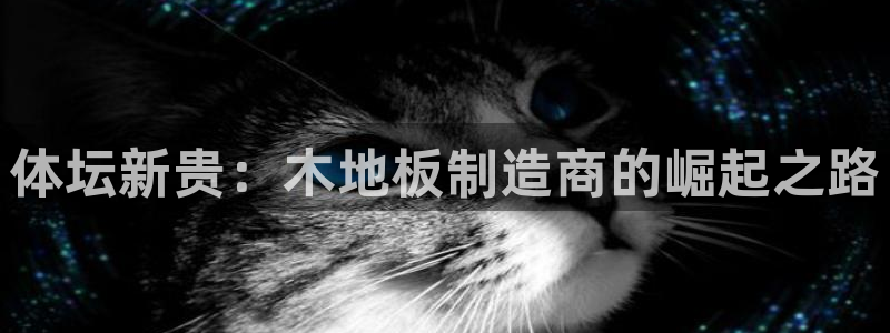 竞技宝 下载：体坛新贵：木地板制造商的崛起之路