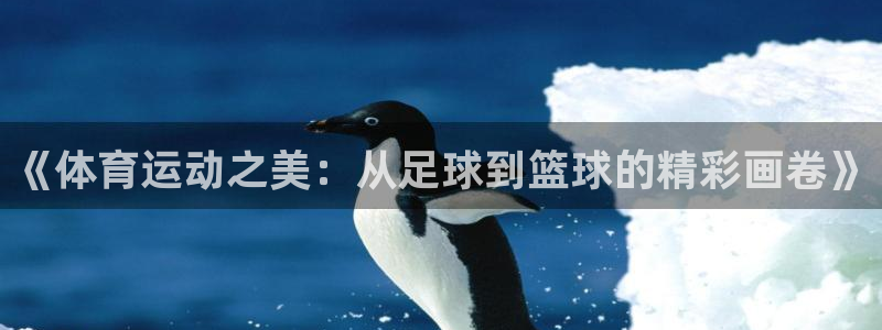 竞技宝进不去：《体育运动之美：从足球到篮球的精彩画卷》